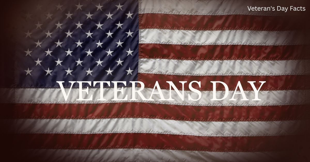 Veteran's Day Facts
